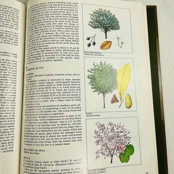 Vintage How to Grow Trees Time Life Encyclopedia of Gardening u 1974  Hard Cover - Picture 9 of 10